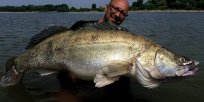 world record zander river po 2015.jpg